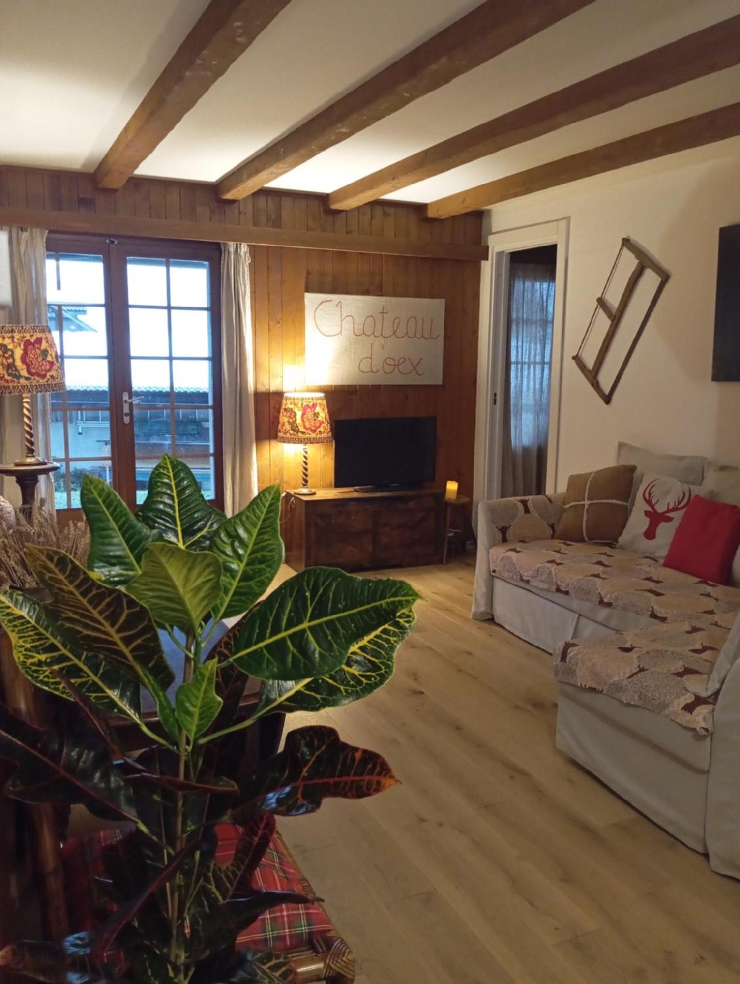 Cozy Apartment In The Heart Of The Alps Chateau-d'Oex Exteriér fotografie