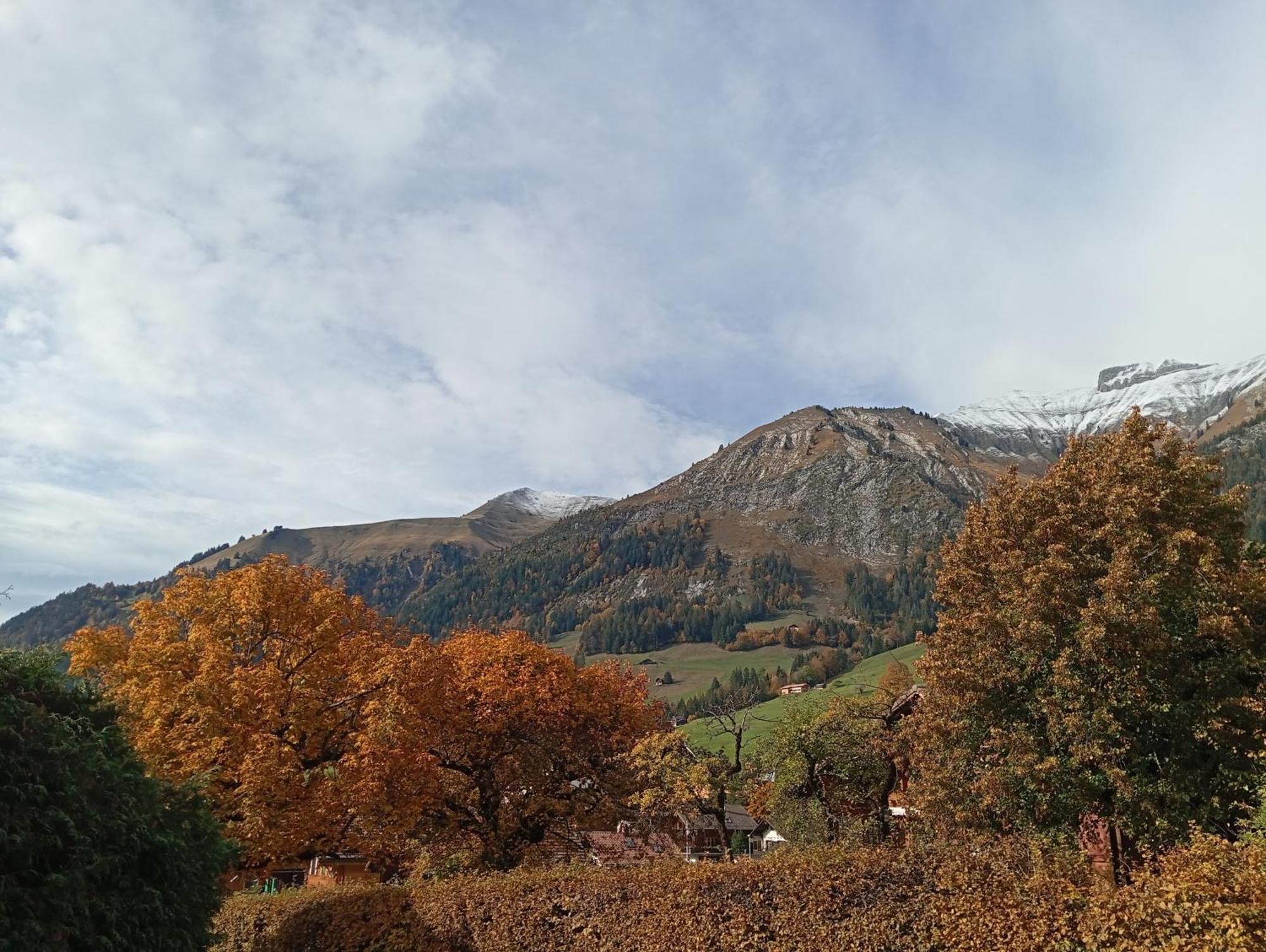 Cozy Apartment In The Heart Of The Alps Chateau-d'Oex Pokoj fotografie
